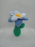 Rassel Blume
