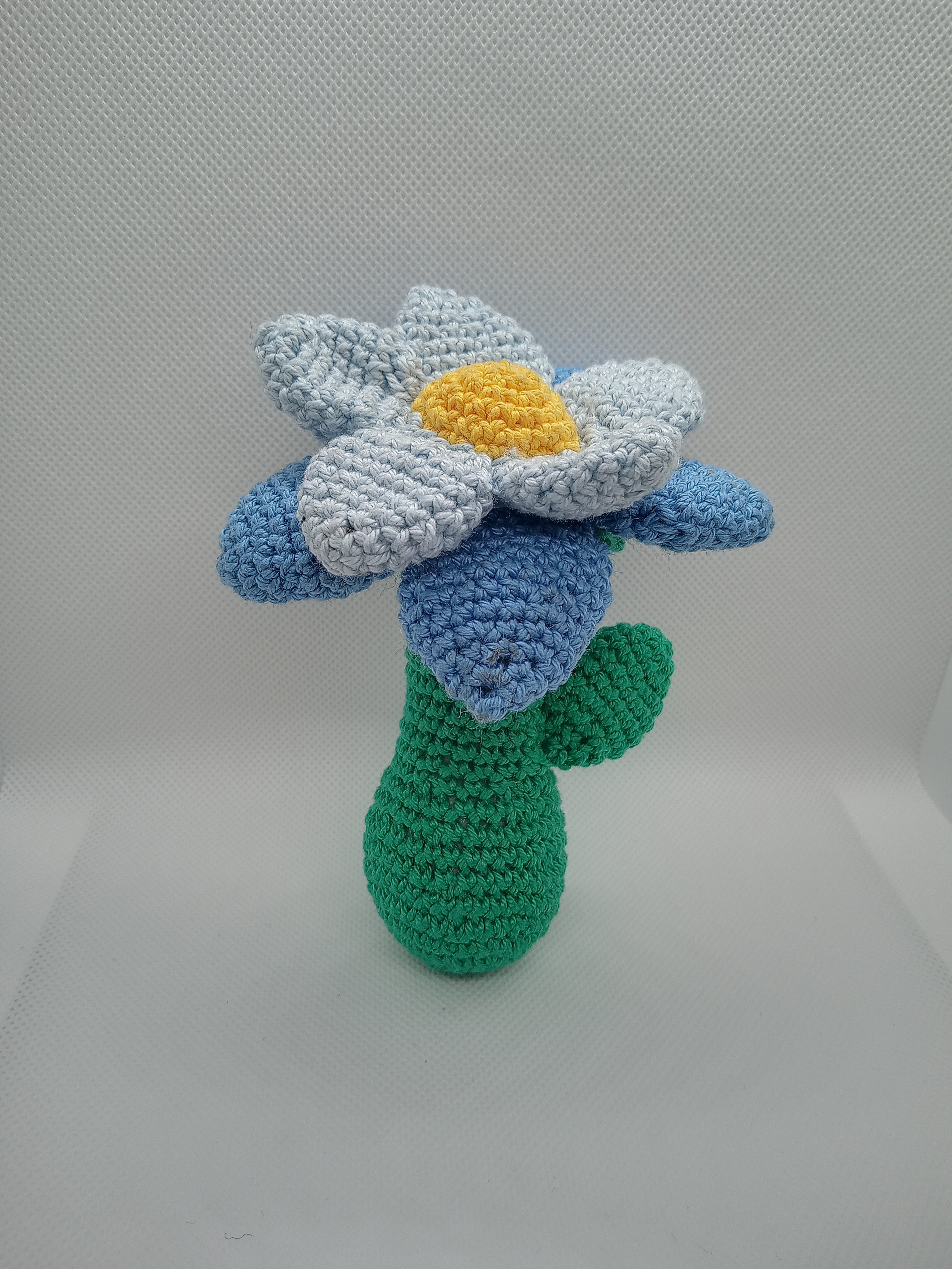 Rassel Blume